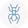 Ant Removals In Lancaster Gate
