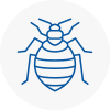 Bed Bug Extermination In Lancaster Gate