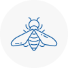 Bee Nest Removal Lancaster Gate