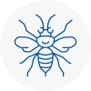 Lancaster Gate Hornet Nest Removals
