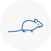 Mice Exterminators In Lancaster Gate