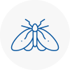 Moth Control Specialists In Lancaster Gate