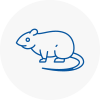 Rat Control Lancaster Gate