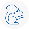 Lancaster Gate Rodent Removals