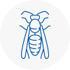 Lancaster Gate Wasp Nest Removal